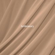 InMemory Dark Nude 1 Yard Nylon Power Mesh Sheer Fabric
